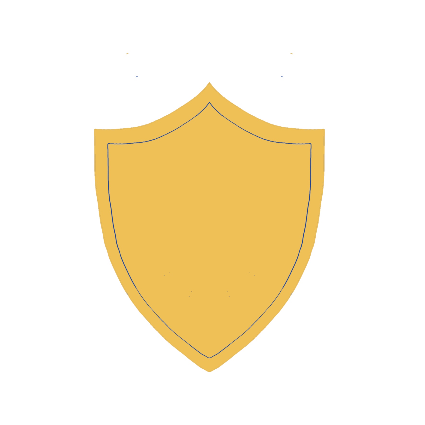 Insurance & Injury Claims